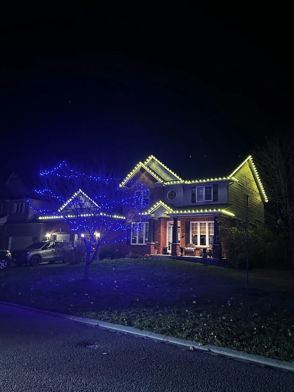 Home with warm white roofline lighting beside a tree wrapped in blue lights